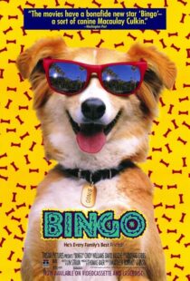 دانلود فیلم Bingo 1991417459-380060559