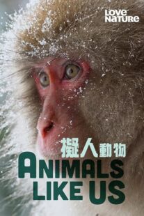 دانلود مستند Animals Like Us423066-796168950