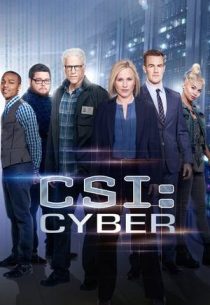 دانلود سریال CSI: Cyber428329-46806917